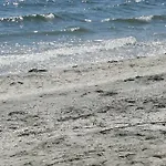 Summerland Sea View דירה