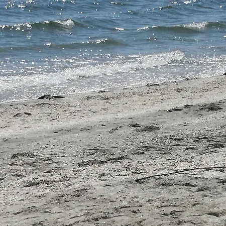 Summerland Sea View アパート