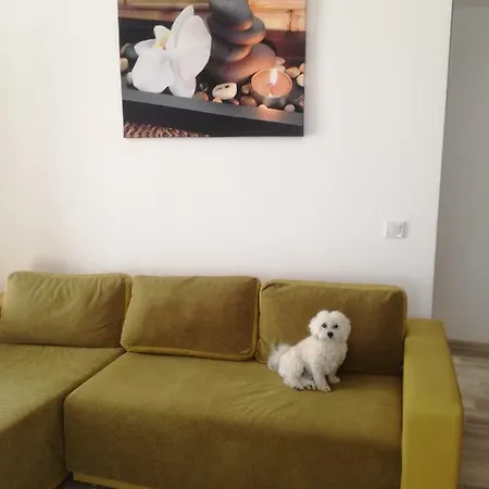 Apartment Summerland Sea View Mamaia