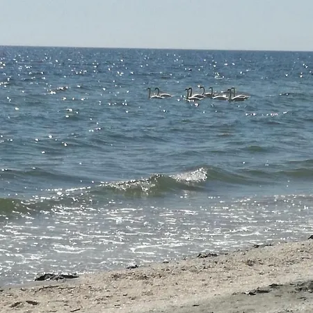 شقة Summerland Sea View مامايا